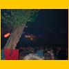 Party 2003