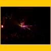Party 2003