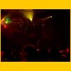 Party 2003