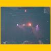 Party 2003