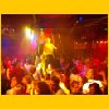 Party 2004
