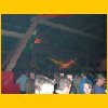 Party 2004